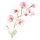 Little Nonfictions