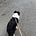 Walking Toward Sanity