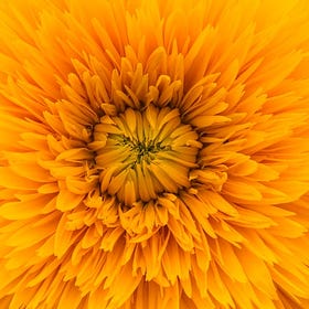 Happiness is yellow: why neurodivergence can drive creativity - Guest Post by Allegra Chapman