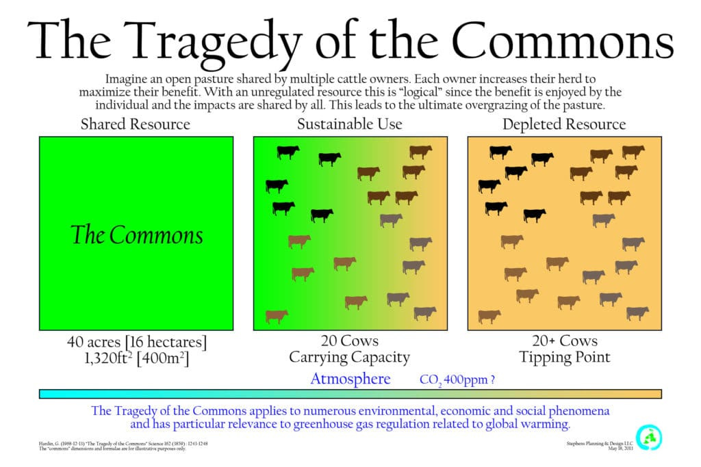 Drawn Up: The Tragedy of the Commons | Earth.Org Drawn Up: The Tragedy of the Commons | Earth.Org