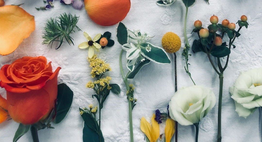assorted-color flower decors