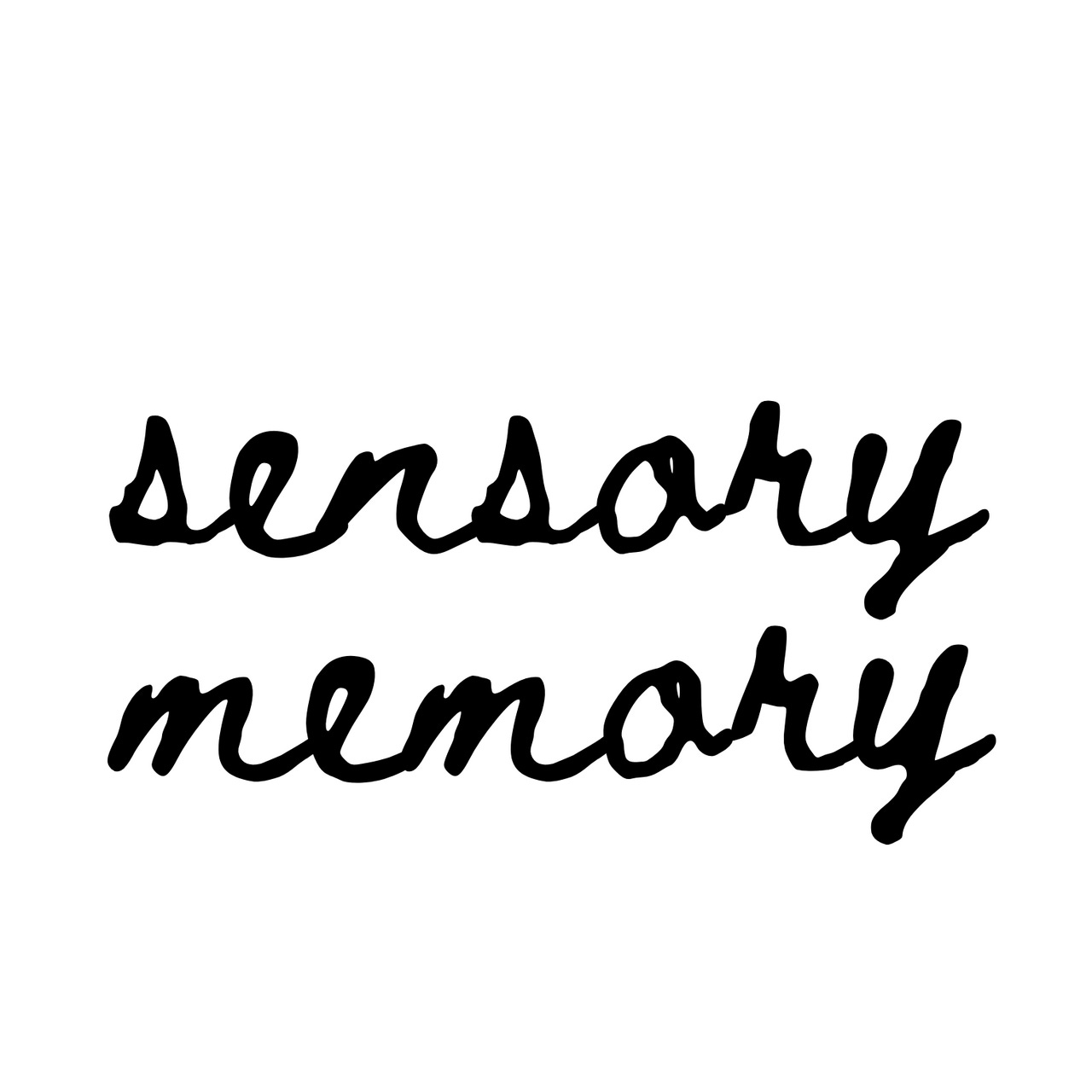 Sensory Memory