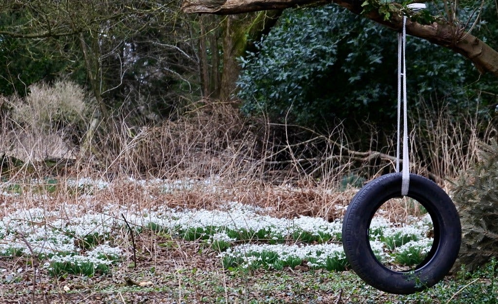 A tire swing 