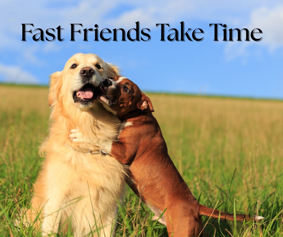 A brown and white dog just hugging on a much larger golden retriever in a yellowish-gold field with blue sky in the background. Text reads: Fast Friends Take Time. Doggos. Nothing better.
