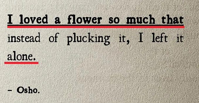 Thumbnail of Substack - A new economic engine for culture