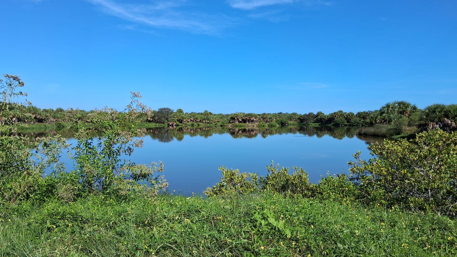 Pond at Pelican Island NWR