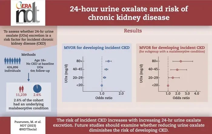 Chronic kidney disease risk increases with increasing 24-h urinary oxalate excretion (Puurunen M, et al. Nephrol Dial Transplant. 2024)