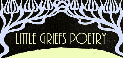 Little Griefs Poetry