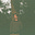 jacob sujin kuppermann's avatar