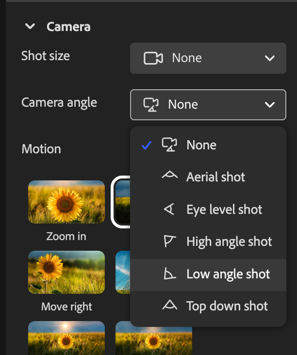 Adobe Firefly video editor camera settings panel showing controls for shot size, camera angle, and motion, with a dropdown menu listing camera angles such as aerial, eye level, high angle, low angle (selected), and top down