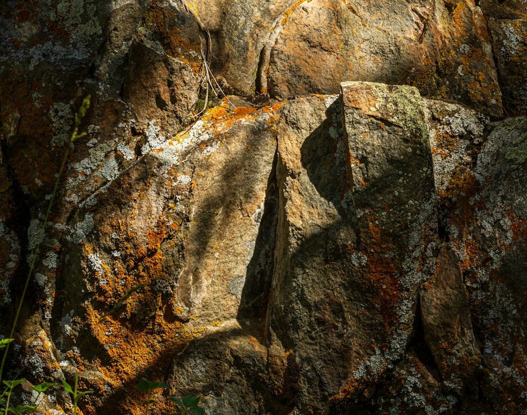 A close up of a rock face in the woods A close up of a rock face in the woods