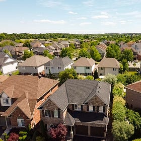 Why Trees Could Be Halton Hills’ Best Defence Against a Changing Climate