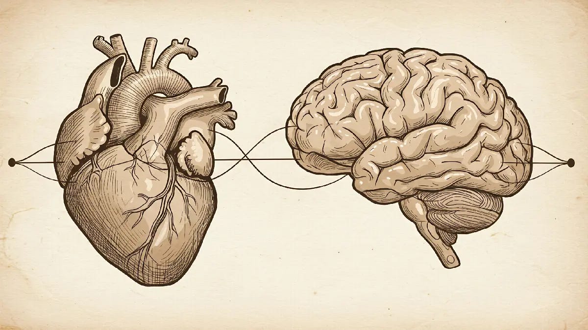 brain heart link