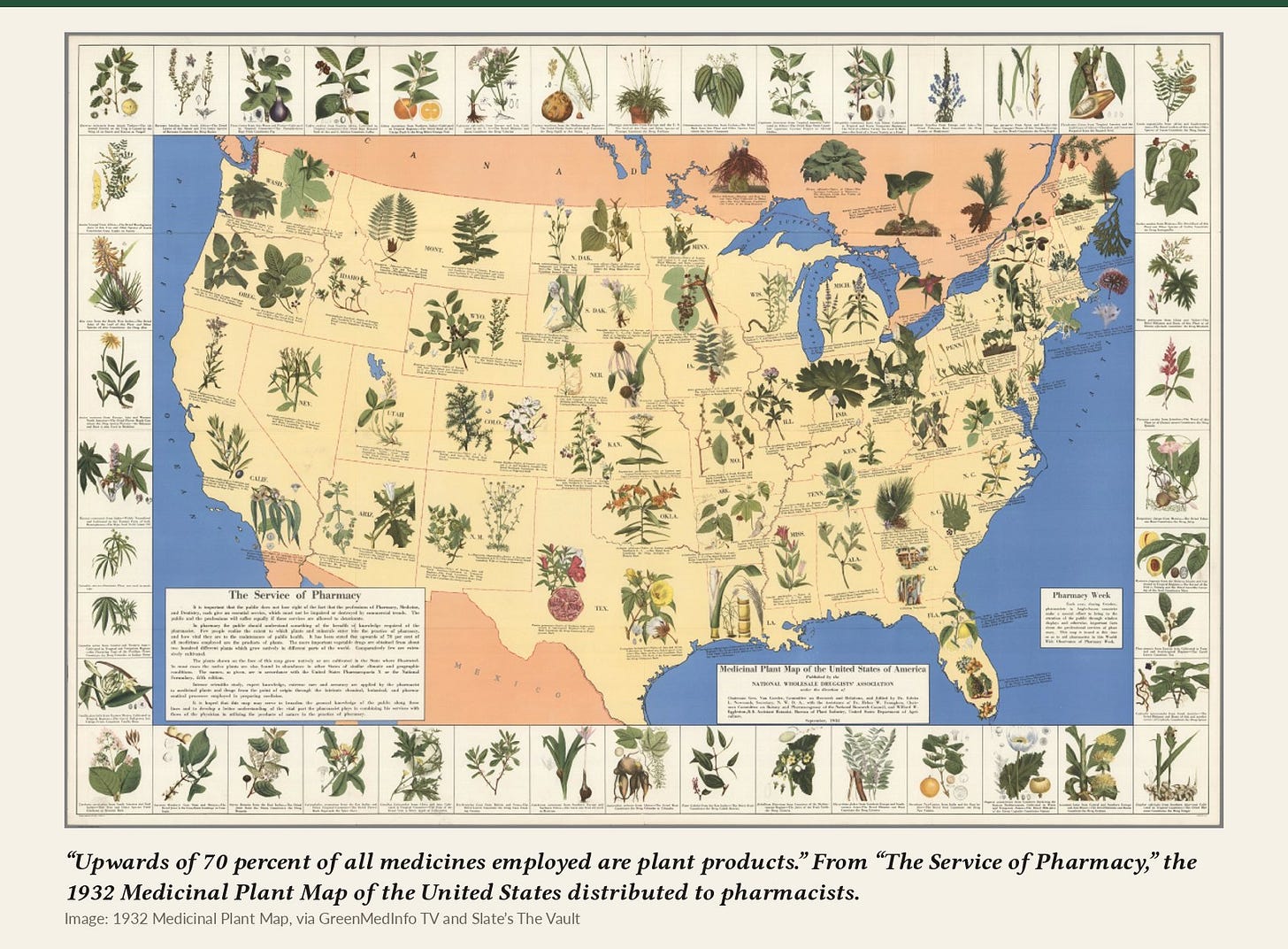 The 1932 Medicinal Plant Map of the United States, distributed to pharmacists under the heading “The Service of Pharmacy.”