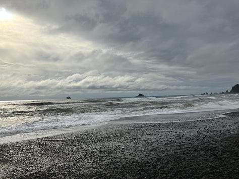 Photos of Olympic National Park coast and rain forest