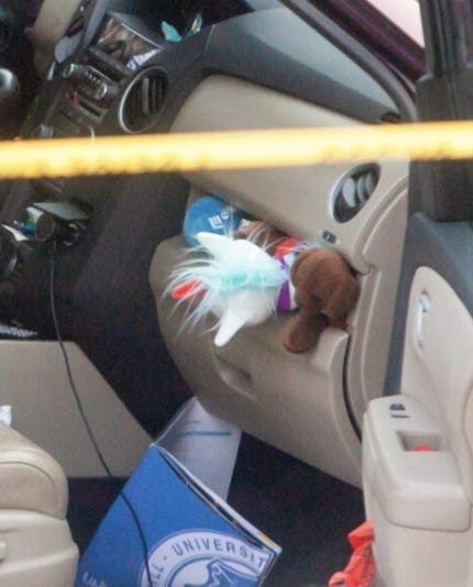 Renee Nicole Good and the stuffed animals in her glovebox
