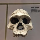 Memories of The Lonely Sapien