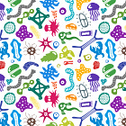 A short guide to improving your microbiome 