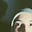 Avatar de Iury Domingues