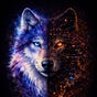 Dæwn's avatar
