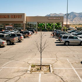 Stony Ground Part TWO: Right Tree, Right Place