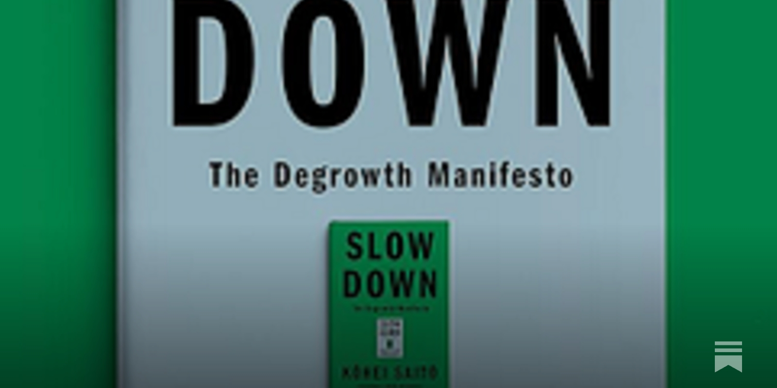 Book Review: Slow Down by Kohei Saito - by Harish P I