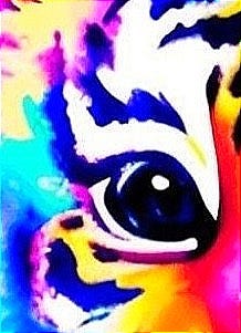 close up image of a rainbow tiger's eye close up image of a rainbow tiger's eye