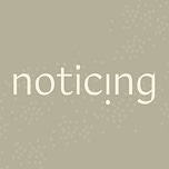 Noticing