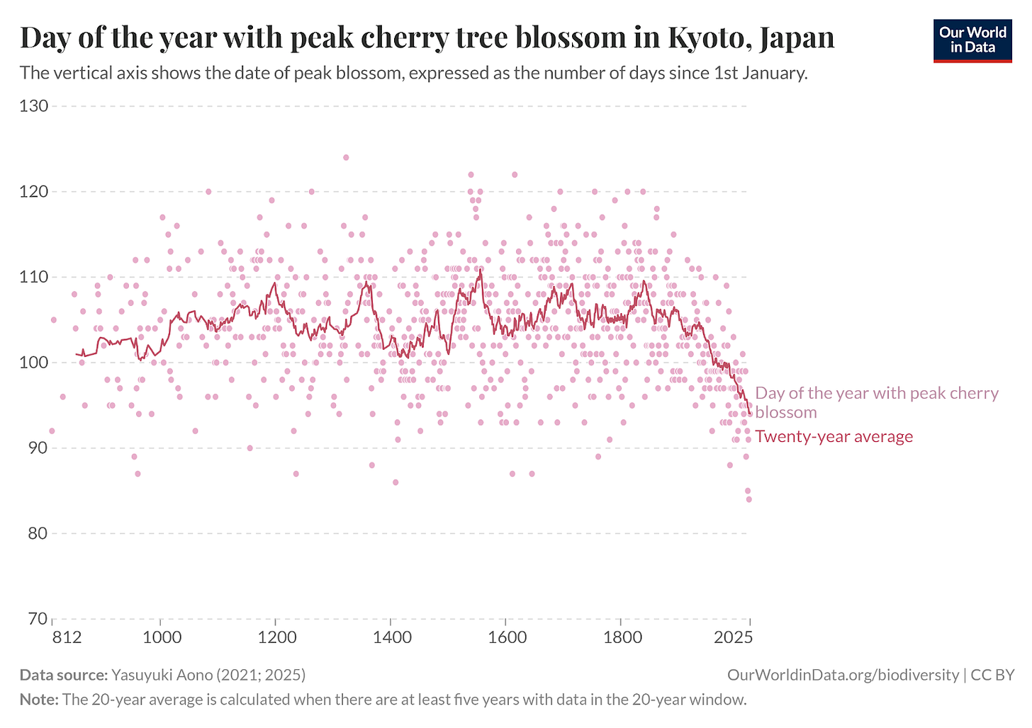 date-of-the-peak-cherry-tree-blossom-in-kyoto.png