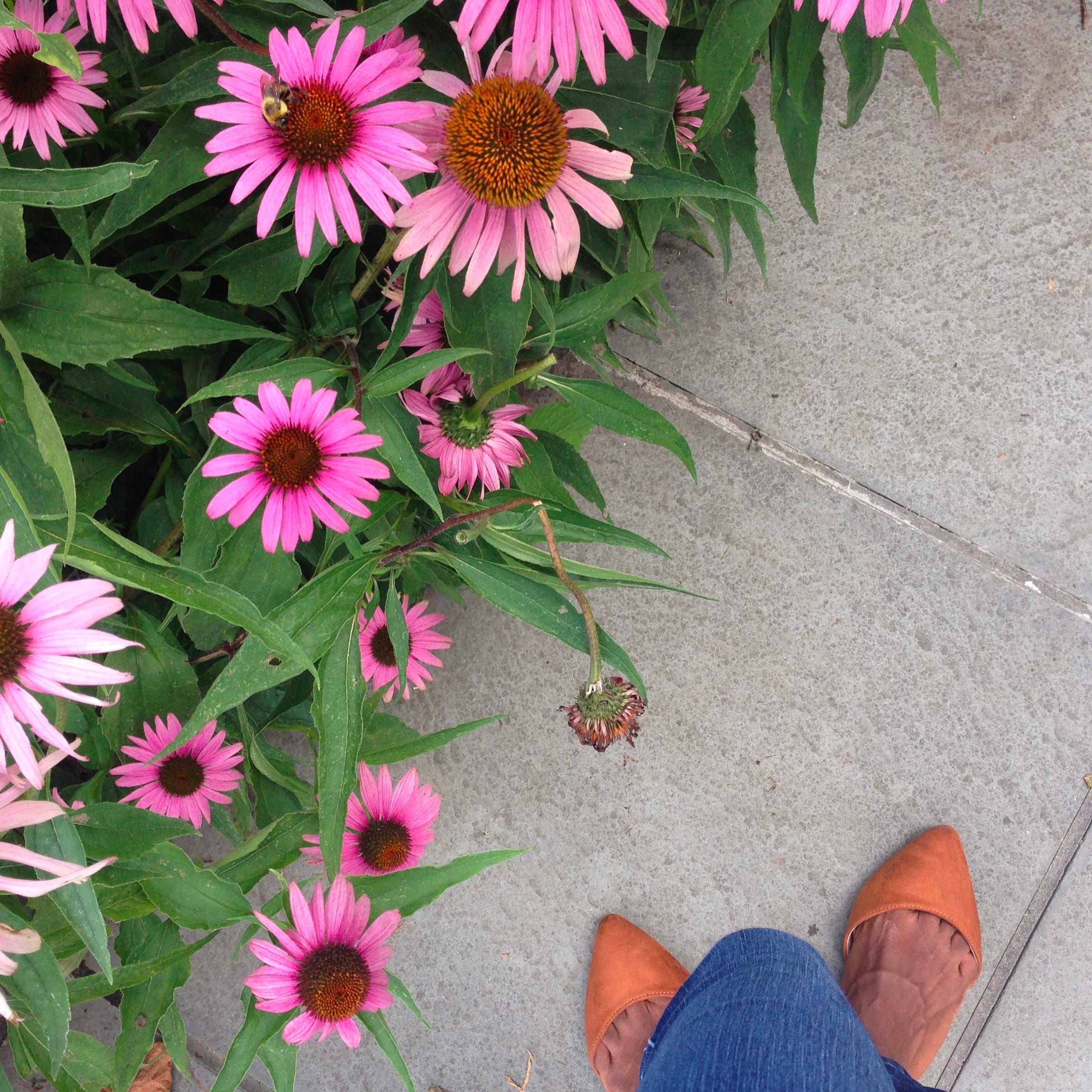 A Colorful Resistance