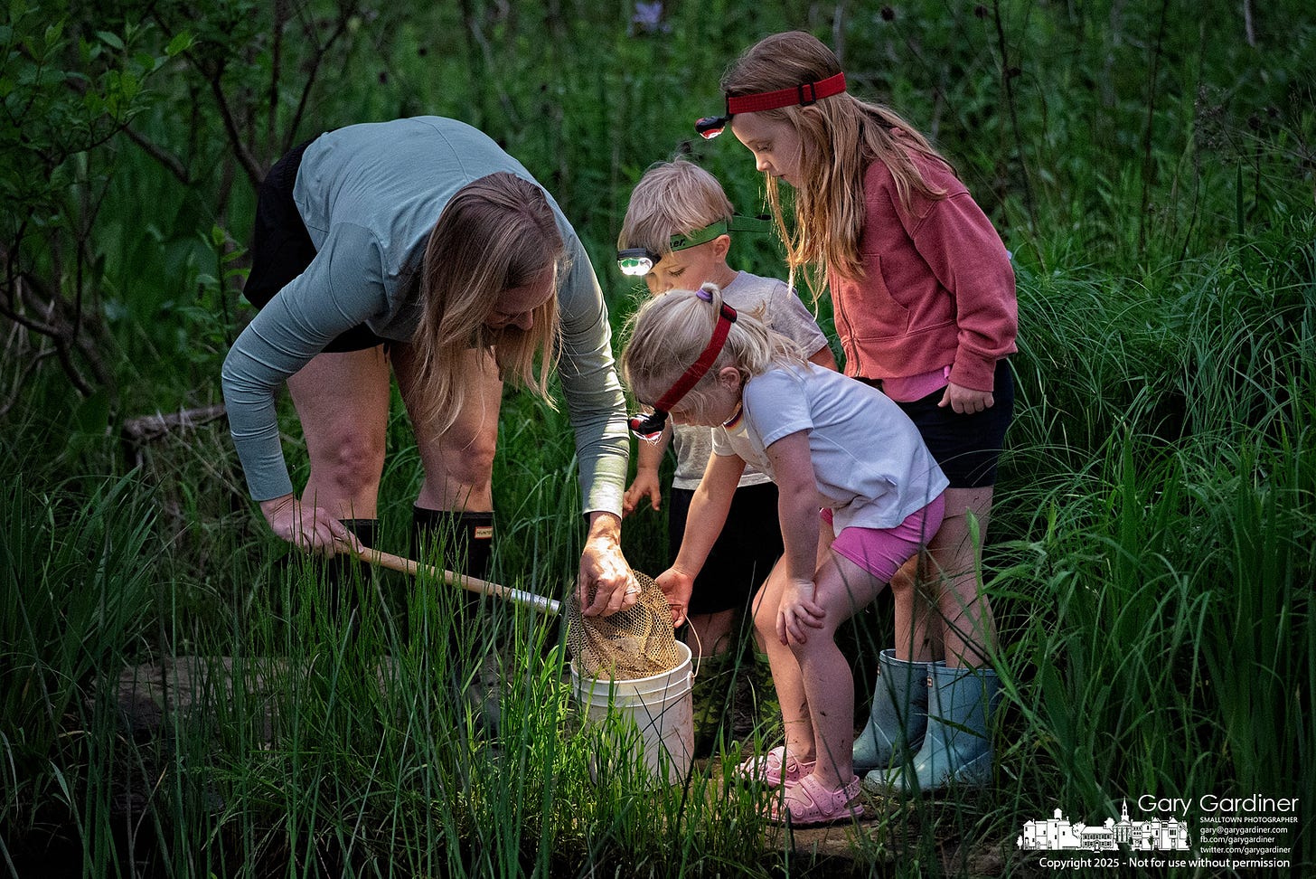 A mother looks on as children use their headlamps to examine tadpoles found during Frog Friday at the Highlands wetlands. My Final Photo for May 16, 2025. A mother looks on as children use their headlamps to examine tadpoles found during Frog Friday at the Highlands wetlands. My Final Photo for May 16, 2025.