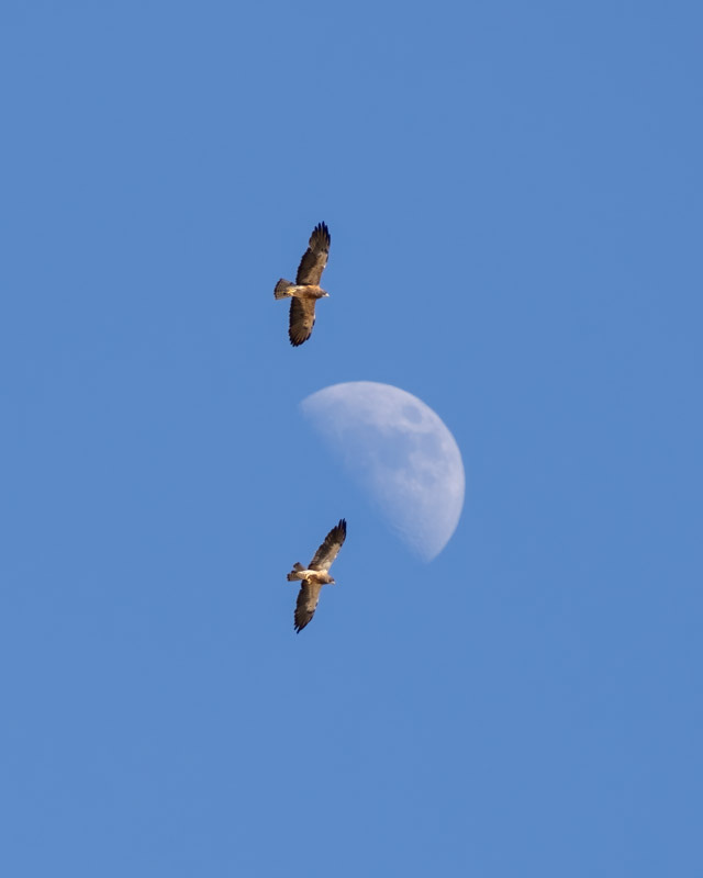 20250801-Manville-398-Edit.jpg 20250801-Manville-398-Edit.jpg