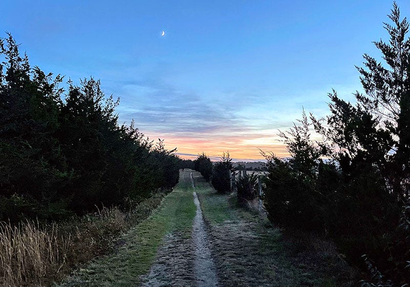 sixburnersue twilight flat point farm