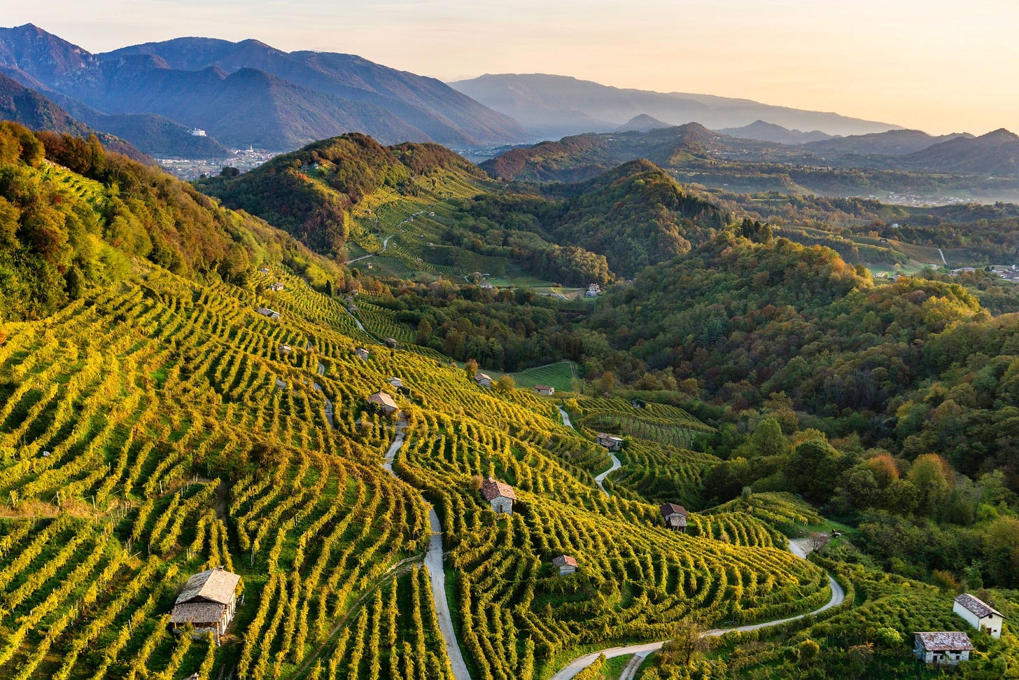A virtual visit to Conegliano Valdobbiadene Prosecco Superiore DOCG -  Circle of Wine Writers