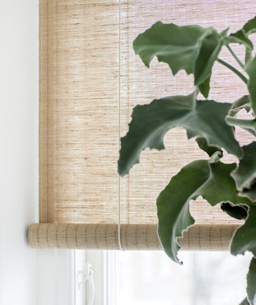 Brown plant blinds