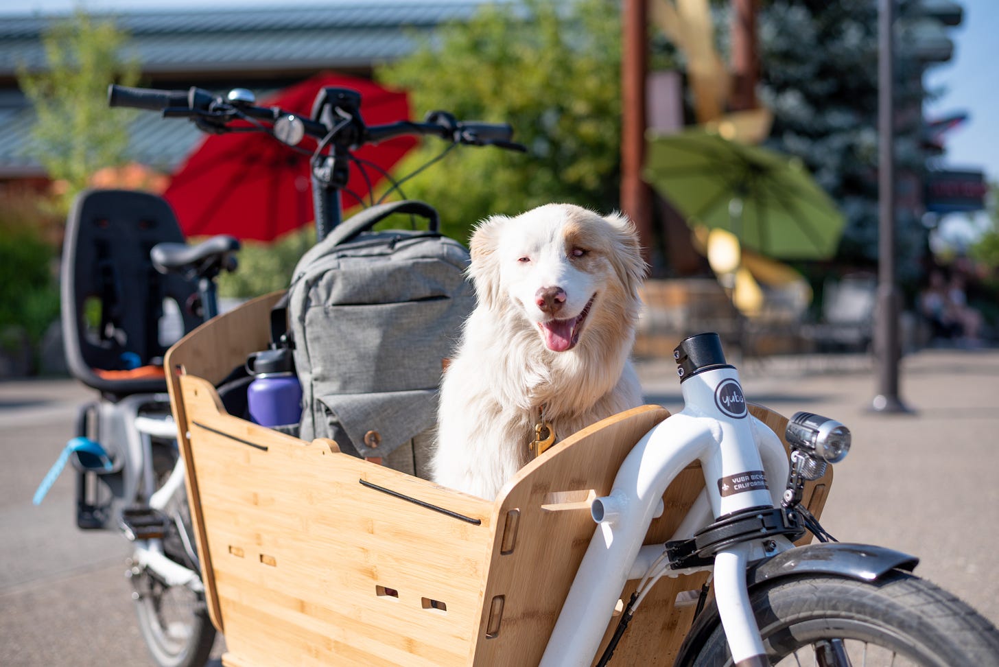 Best Electric Cargo Bikes of 2022 [Review & Buying Guide] | GearJunkie