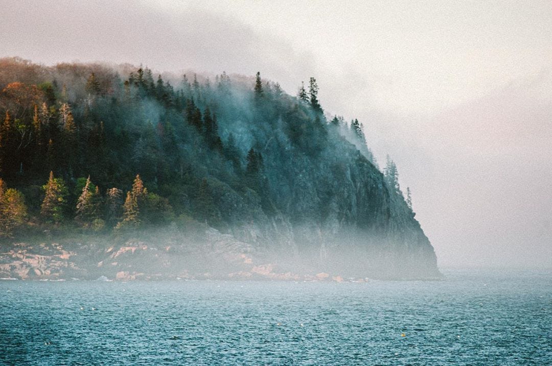 A dramatic forested cliff shrouded in fog overlooking a turquoise body of water on a moody, overcast day.