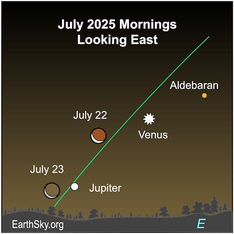 A crescent shape, the moon, sits left of a starred dot, Venus, On the next morning a thinner crescent shape is next to a dot, Jupiter. They are all above a wavy line, the horizon. A crescent shape, the moon, sits left of a starred dot, Venus, On the next morning a thinner crescent shape is next to a dot, Jupiter. They are all above a wavy line, the horizon.