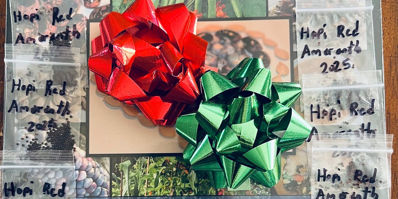 The gift that keeps on giving (announcing a holiday book sale that comes with heirloom seeds from my garden!)