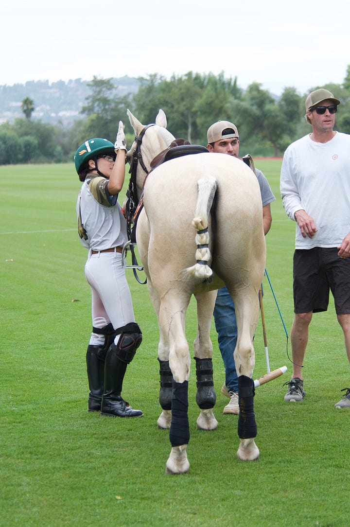 2023 Summer polo season at Bonsall Polo Farm, San Diego, CA, Photos by Wendy Stewart
