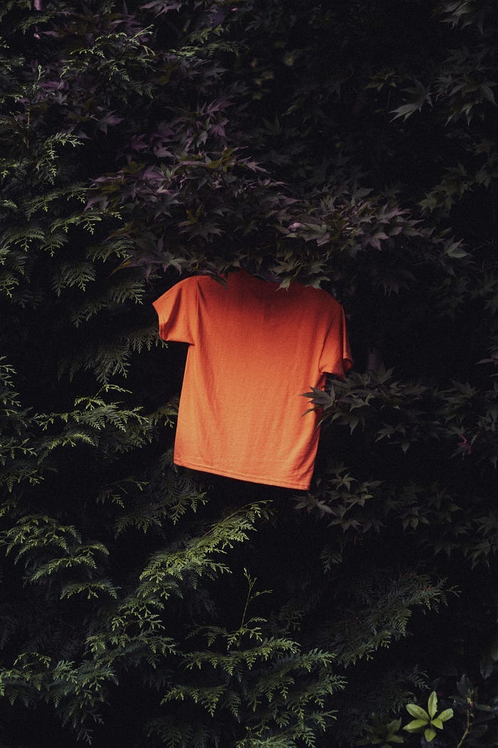 An orange shirt hanging in the branches of a tree.