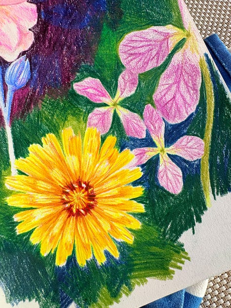 Colourful pencil drawings in a sketchbook