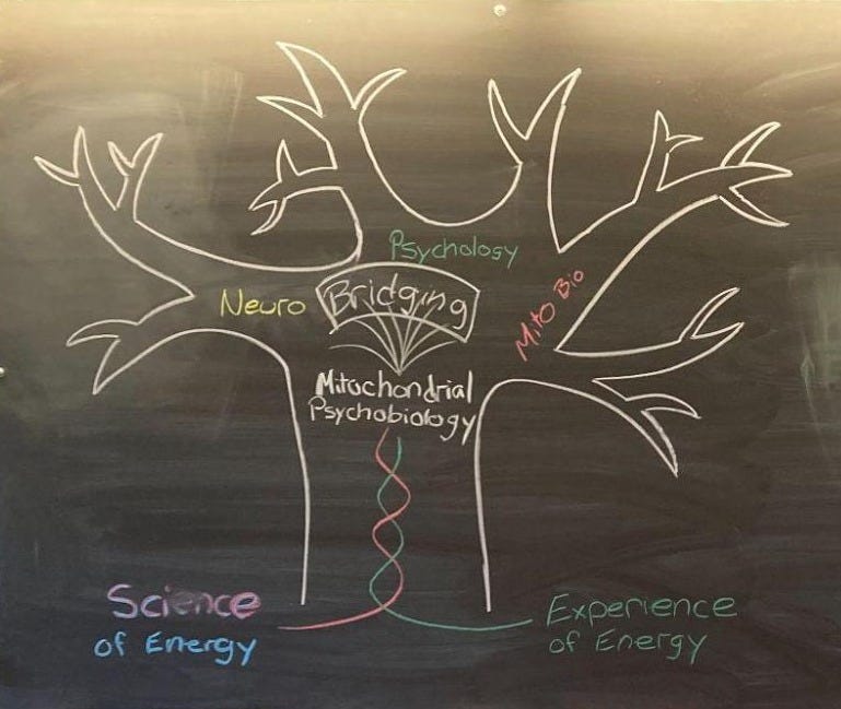 Chalk board drawing from the Inaugral Banbury Mitochondrial Psychobiology Meeting. Chalk board drawing from the Inaugral Banbury Mitochondrial Psychobiology Meeting.
