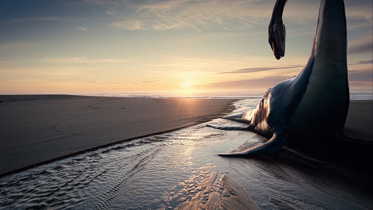 The Tree of Life | Still features a beached dinosaur.