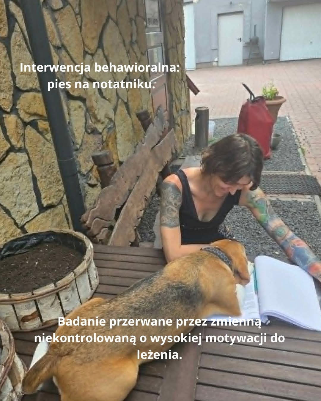 Może być zdjęciem przedstawiającym kukang i tekst „Interwencja interwencjabehawioralna: behawioralna: pies na notatniku. Badanie przerwane przez zmienną niekontrolowaną o wysokiej motywacji do leżenia.” Może być zdjęciem przedstawiającym kukang i tekst „Interwencja interwencjabehawioralna: behawioralna: pies na notatniku. Badanie przerwane przez zmienną niekontrolowaną o wysokiej motywacji do leżenia.”