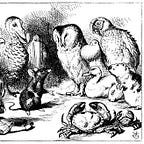 Crossroads by Nicole Miras