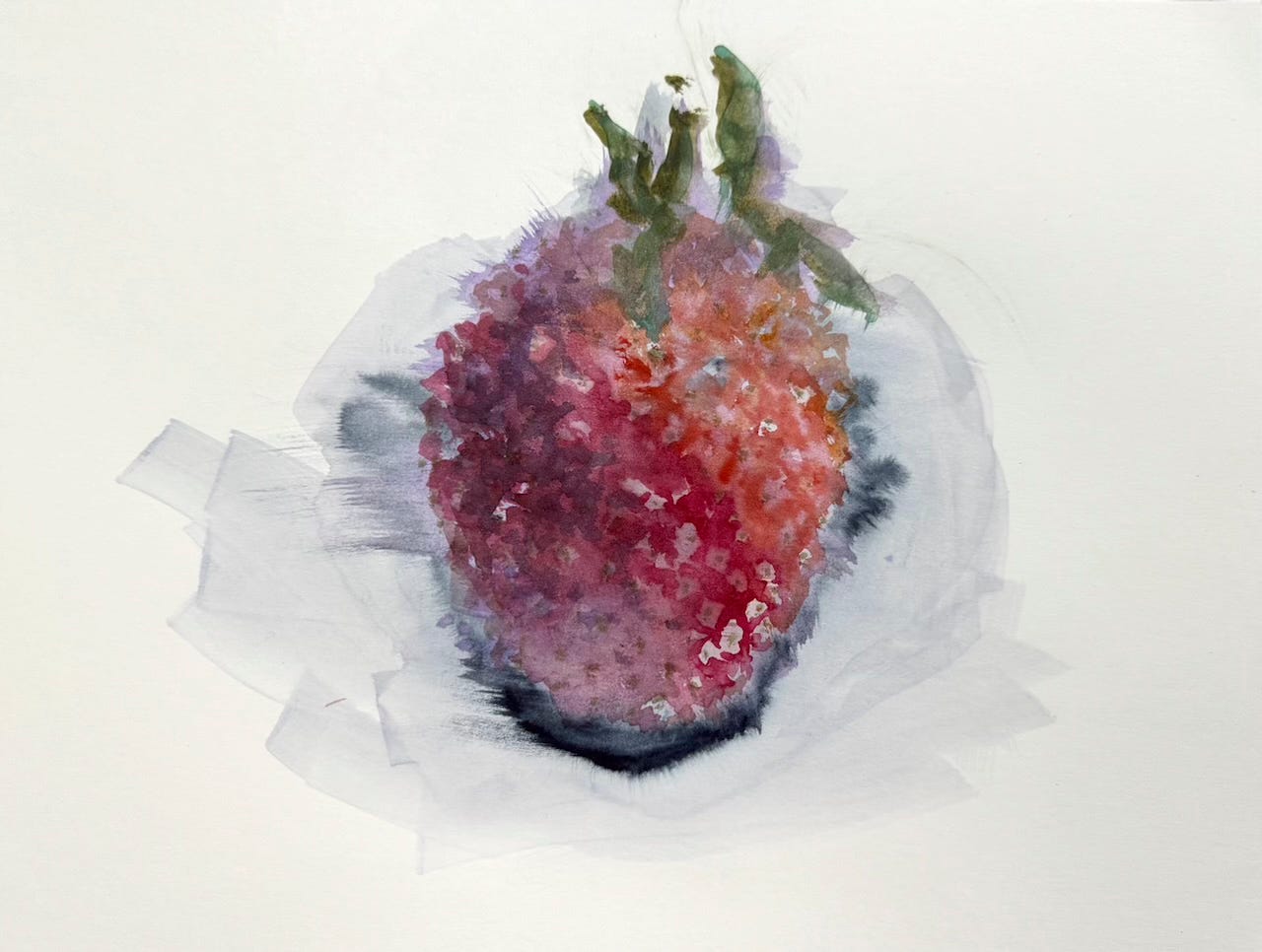 Watercolor Painting of a Strawberry by Charles Merritt Houghton 2024 wet-on-wet