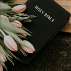 Introducing: Capitalism & Glitter Bible Study Plan 2026