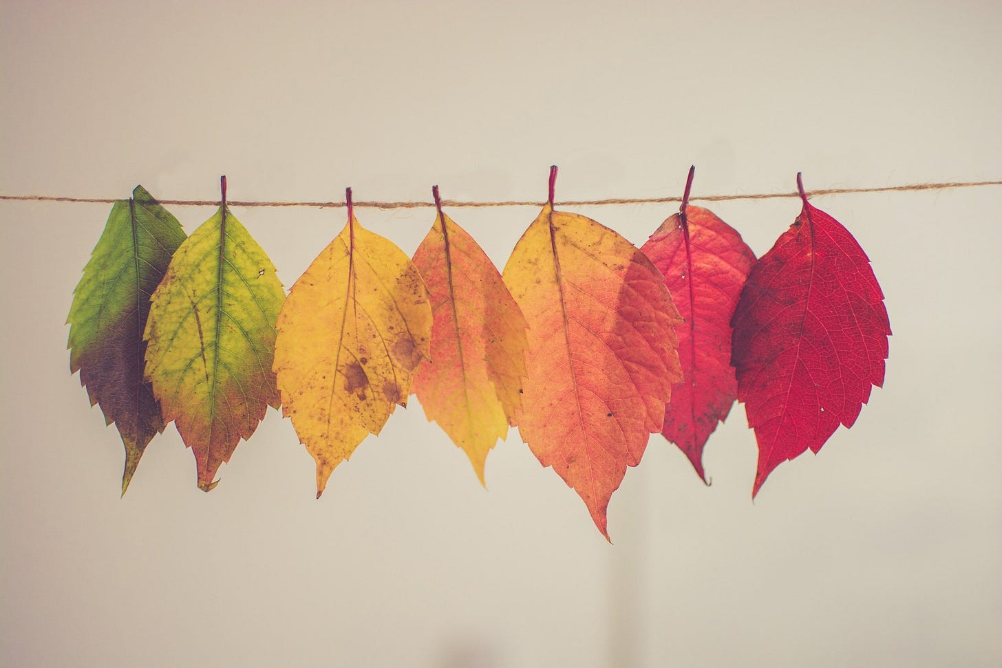 Mindfulness Exercises: Changing Seasons, Autumn — Bullionite