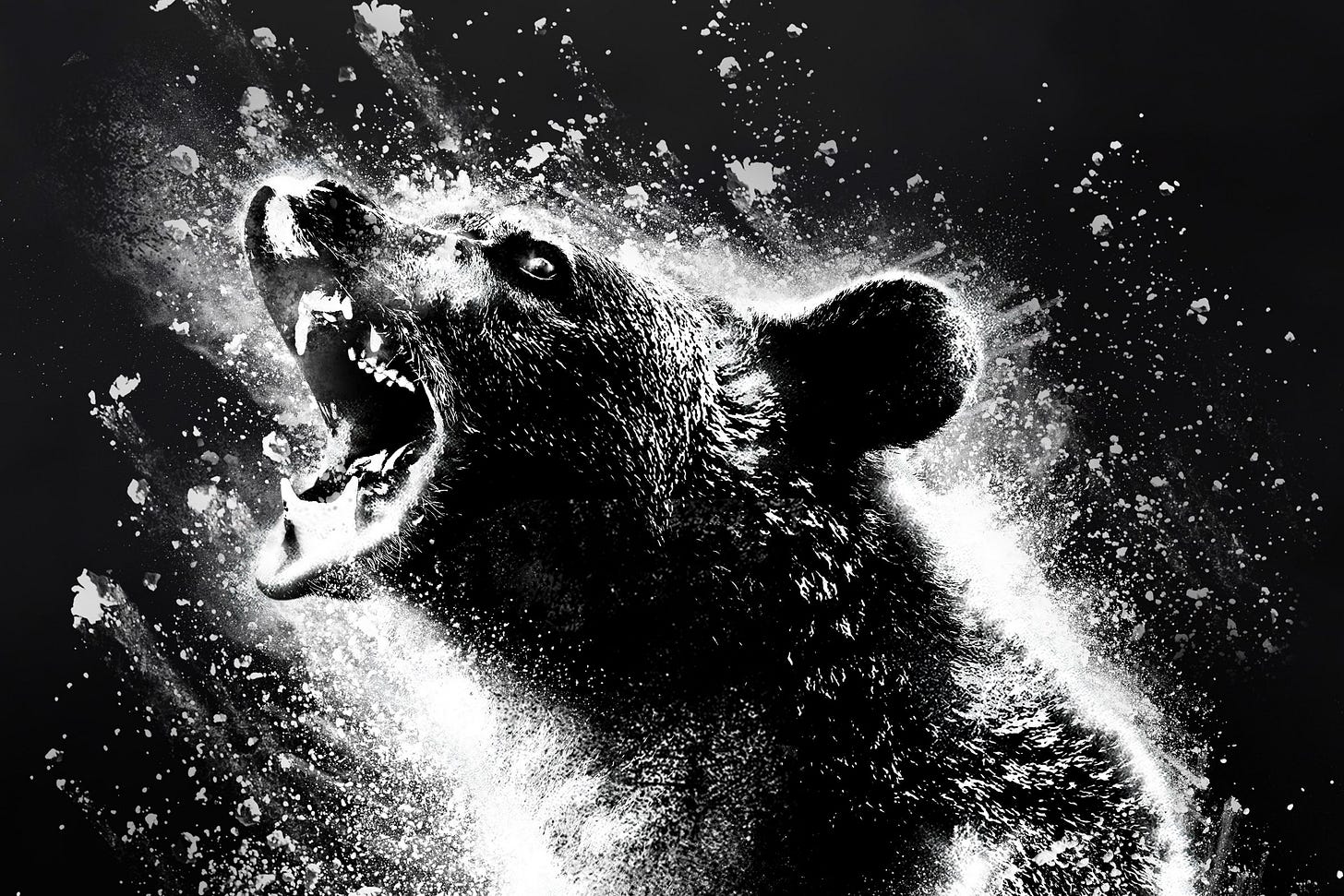 Cocaine Bear' Is a Buzz Kill | WIRED
